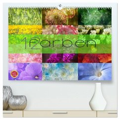 12 Farben (hochwertiger Premium Wandkalender 2026 DIN A2 quer), Kunstdruck in Hochglanz 12 Farben (hochwertiger Premium Wandkalender 2026 DIN A2 quer), Kunstdruck in Hochglanz