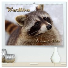 Waschbären (hochwertiger Premium Wandkalender 2026 DIN A2 quer), Kunstdruck in Hochglanz