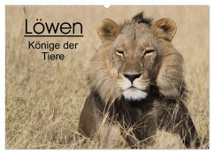Cover Löwen - Könige der Tiere (Wandkalender 2026 DIN A2 quer), CALVENDO Monatskalender