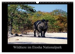 Wildtiere im Etosha Nationalpark (Wandkalender 2026 DIN A3 quer), CALVENDO Monatskalender