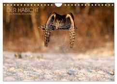 Cover DER HABICHT, Des Falkners Allrounder (Wandkalender 2026 DIN A4 quer), CALVENDO Monatskalender