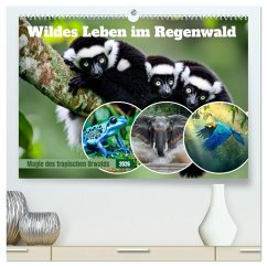 Wildes Leben im Regenwald (hochwertiger Premium Wandkalender 2026 DIN A2 quer), Kunstdruck in Hochglanz Wildes Leben im Regenwald (hochwertiger Premium Wandkalender 2026 DIN A2 quer), Kunstdruck in Hochglanz