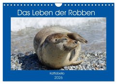 Das Leben der Robben (Wandkalender 2026 DIN A4 quer), CALVENDO Monatskalender Das Leben der Robben (Wandkalender 2026 DIN A4 quer), CALVENDO Monatskalender