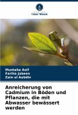 Anreicherung von Cadmium in Böden und Pflanzen, die mit Abwasser bewässert werden