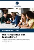 Die Perspektive der Jugendlichen Die Perspektive der Jugendlichen