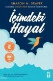 Icimdeki Hayal Icimdeki Hayal