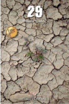 Cover 29 - Mardin Yolunda