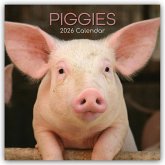Piggies - Ferkel Schweine 2026 - 16-Monatskalender Piggies - Ferkel Schweine 2026 - 16-Monatskalender