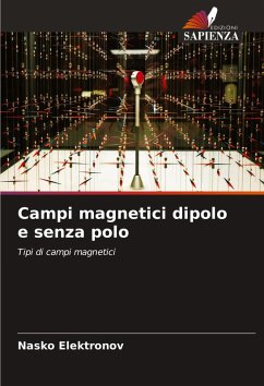 Cover Campi magnetici dipolo e senza polo