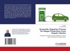 Anaerobic Digestion Process for Biogas Production from Organic Wastes