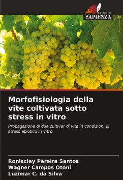 Cover Morfofisiologia della vite coltivata sotto stress in vitro