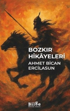 Cover Bozkir Hikayeleri