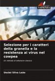 Selezione per i caratteri della granella e la resistenza ai virus nel cowpea