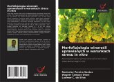 Morfofizjologia winoro¿li uprawianych w warunkach stresu in vitro Morfofizjologia winoro¿li uprawianych w warunkach stresu in vitro