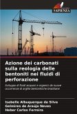 Azione dei carbonati sulla reologia delle bentoniti nei fluidi di perforazione Azione dei carbonati sulla reologia delle bentoniti nei fluidi di perforazione