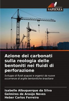 Cover Azione dei carbonati sulla reologia delle bentoniti nei fluidi di perforazione