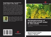 Morphophysiology of grapevines grown under in vitro stress Morphophysiology of grapevines grown under in vitro stress