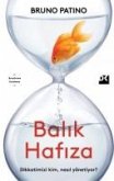 Balik Hafiza