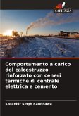 Comportamento a carico del calcestruzzo rinforzato con ceneri termiche di centrale elettrica e cemento Comportamento a carico del calcestruzzo rinforzato con ceneri termiche di centrale elettrica e cemento