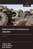 Wykorzystanie energetyczne odpadów Wykorzystanie energetyczne odpadów