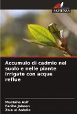 Accumulo di cadmio nel suolo e nelle piante irrigate con acque reflue