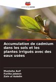 Accumulation de cadmium dans les sols et les plantes irrigués avec des eaux usées