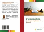 Capitalismo Contemporâneo e as Transições Democráticas Capitalismo Contemporâneo e as Transições Democráticas