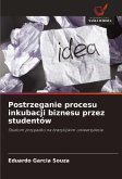 Postrzeganie procesu inkubacji biznesu przez studentów