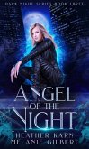 Angel of the Night (Dark Night Series, #3) (eBook, ePUB) Angel of the Night (Dark Night Series, #3) (eBook, ePUB)
