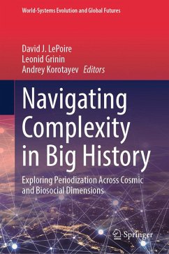 Navigating Complexity in Big History (eBook, PDF)