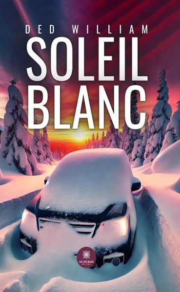 Soleil blanc (eBook, ePUB)