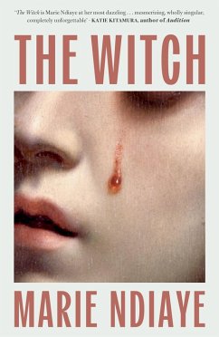 Cover The Witch (eBook, ePUB)