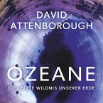 Ozeane (MP3-Download)