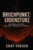 Bruchpunkt: Erduntergang (eBook, ePUB)