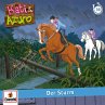 Folge 39: Der Sturm (MP3-Download) - Bild 1
