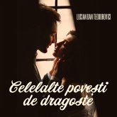 Celelalte povești de dragoste (MP3-Download) Celelalte povești de dragoste (MP3-Download)