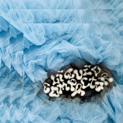 Cover Liquid Compactor