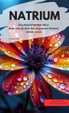NATRIUM DU UNSICHTBARER HELD Alles, was du über das vergessene Element wissen musst (eBook, ePUB) NATRIUM DU UNSICHTBARER HELD Alles, was du über das vergessene Element wissen musst (eBook, ePUB)