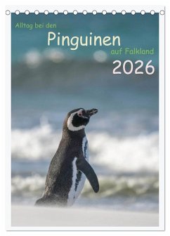 Cover Alltag bei den Pinguinen auf Falkland (Tischkalender 2026 DIN A5 hoch), CALVENDO Monatskalender