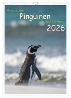 Cover Alltag bei den Pinguinen auf Falkland (Wandkalender 2026 DIN A3 hoch), CALVENDO Monatskalender