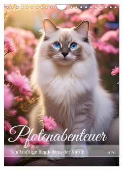 Pfotenabenteuer - Ragdolls in der Natur (Wandkalender 2026 DIN A4 hoch), CALVENDO Monatskalender