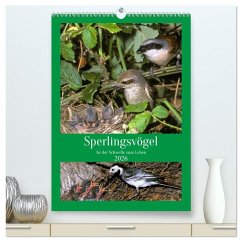 Sperlingsvögel an der Schwelle zum Leben (hochwertiger Premium Wandkalender 2026 DIN A2 hoch), Kunstdruck in Hochglanz Sperlingsvögel an der Schwelle zum Leben (hochwertiger Premium Wandkalender 2026 DIN A2 hoch), Kunstdruck in Hochglanz