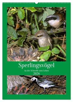 Sperlingsvögel an der Schwelle zum Leben (Wandkalender 2026 DIN A2 hoch), CALVENDO Monatskalender Sperlingsvögel an der Schwelle zum Leben (Wandkalender 2026 DIN A2 hoch), CALVENDO Monatskalender