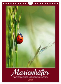 Cover Marienkäfer, Glücksbringer mit sieben Punkten (Wandkalender 2026 DIN A4 hoch), CALVENDO Monatskalender