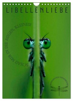 LibellenLiebe - Schau mir in die Augen, Kleines! (Wandkalender 2026 DIN A4 hoch), CALVENDO Monatskalender LibellenLiebe - Schau mir in die Augen, Kleines! (Wandkalender 2026 DIN A4 hoch), CALVENDO Monatskalender