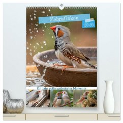 Zebrafinken - Ein Jahr voller gefiederter Momente (hochwertiger Premium Wandkalender 2026 DIN A2 hoch), Kunstdruck in Hochglanz