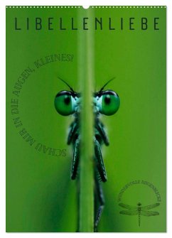 LibellenLiebe - Schau mir in die Augen, Kleines! (Wandkalender 2026 DIN A2 hoch), CALVENDO Monatskalender LibellenLiebe - Schau mir in die Augen, Kleines! (Wandkalender 2026 DIN A2 hoch), CALVENDO Monatskalender
