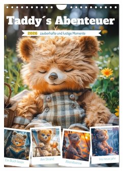 Taddy´s Abenteuer (Wandkalender 2026 DIN A4 hoch), CALVENDO Monatskalender Taddy´s Abenteuer (Wandkalender 2026 DIN A4 hoch), CALVENDO Monatskalender