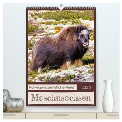 Moschusochsen - Norwegens gemütliche Riesen (hochwertiger Premium Wandkalender 2026 DIN A2 hoch), Kunstdruck in Hochglanz Moschusochsen - Norwegens gemütliche Riesen (hochwertiger Premium Wandkalender 2026 DIN A2 hoch), Kunstdruck in Hochglanz