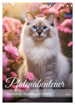 Cover Pfotenabenteuer - Ragdolls in der Natur (Tischkalender 2026 DIN A5 hoch), CALVENDO Monatskalender